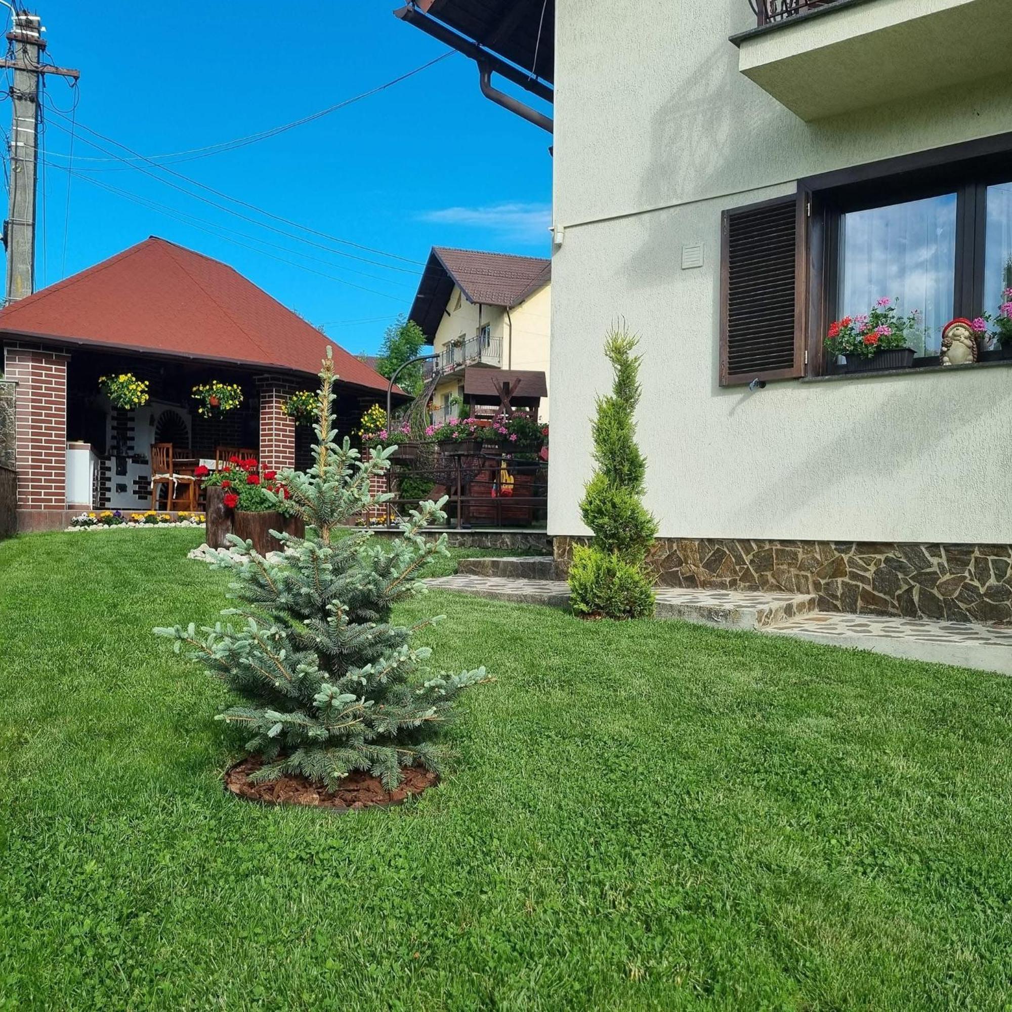 Pensiunea Select Curtea de Argeş Exteriör bild