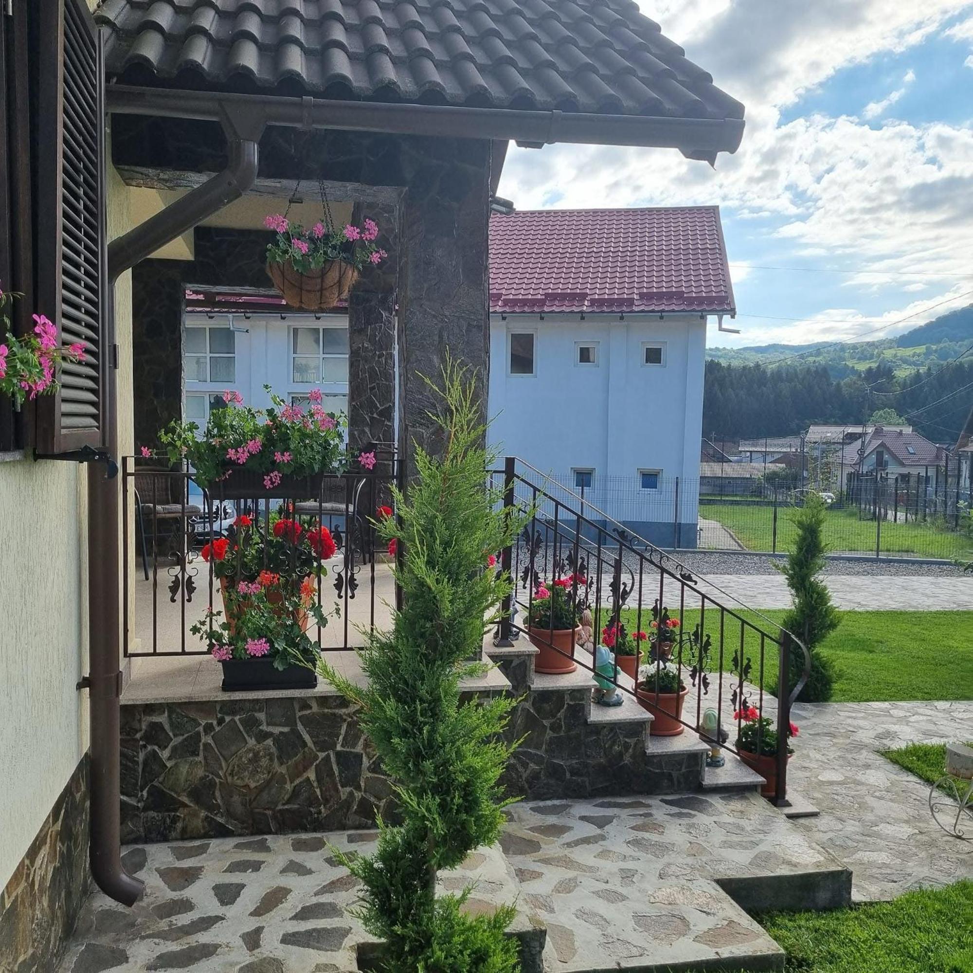 Pensiunea Select Curtea de Argeş Exteriör bild